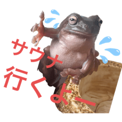 [LINEスタンプ] うららかな日常