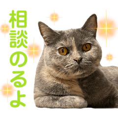 [LINEスタンプ] フクちゃんと一緒☆