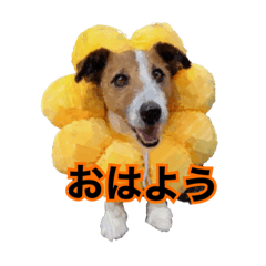 [LINEスタンプ] テオの毎日