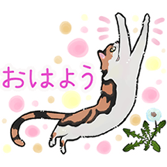 [LINEスタンプ] 三毛猫とたんぽぽ