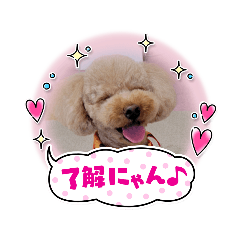 [LINEスタンプ] こんにちわぁ月愛です