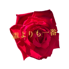 [LINEスタンプ] 薔薇お嬢スタンプ