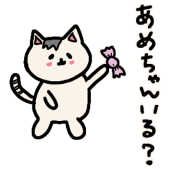 [LINEスタンプ] ゆるっと前髪にゃんこの大阪弁 大阪府