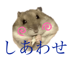 [LINEスタンプ] るいるい、、、①