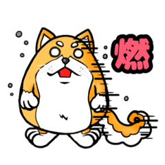 [LINEスタンプ] まるっこい柴犬