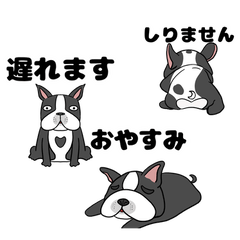 [LINEスタンプ] 【フレンチブルドック】日常スタンプ