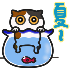 [LINEスタンプ] ▶動くよ♡にゃんズの夏