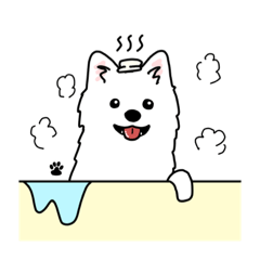 [LINEスタンプ] ポメラニアンのたづな＆子猫のそら