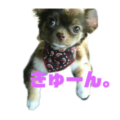 [LINEスタンプ] めるろこむうちゃん