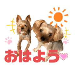 [LINEスタンプ] ヨーキー2匹スタンプ24個♡セラピードッグ