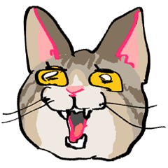 [LINEスタンプ] ねこのコタロウくん