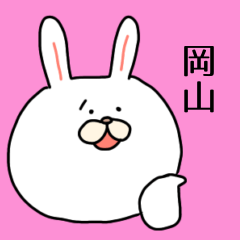 [LINEスタンプ] 岡山弁のうさこ⭐︎