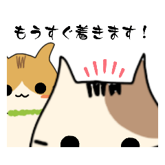 [LINEスタンプ] ねこ♡毎日使えるスタンプ