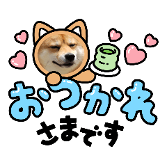 [LINEスタンプ] 豆柴ねるのスタンプ