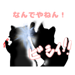 [LINEスタンプ] 元気な黒猫スタンプ関西編