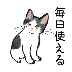 [LINEスタンプ] 毎日使える！ねこの敬語スタンプ