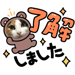 [LINEスタンプ] クロエちゃんのスタンプ