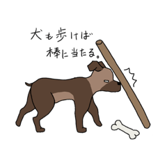 [LINEスタンプ] 動物と諺。