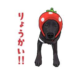 [LINEスタンプ] ラブラドールレトリバー1