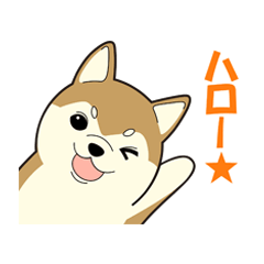 [LINEスタンプ] 柴犬 さくらとふぶき（改訂版）