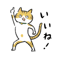 [LINEスタンプ] くらしネコ★うーちゃんなっちゃん★