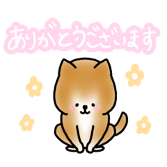 [LINEスタンプ] まいにち柴犬ちゃん