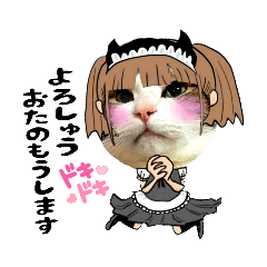 [LINEスタンプ] うちのねこ＋α【愛媛・長野の方言など】の画像（メイン）