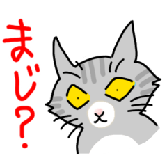 [LINEスタンプ] ひねくれニャンコのスラング・死語スタンプ