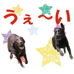 [LINEスタンプ] レビィとティムのスタンプです。