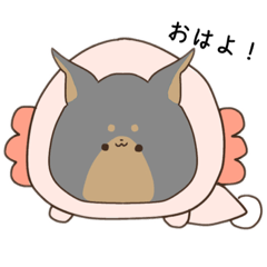 [LINEスタンプ] りんかまるの犬