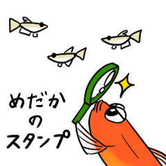 [LINEスタンプ] 媛めだか