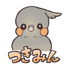 [LINEスタンプ] オカメインコのつきみちゃんスタンプ④