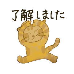 [LINEスタンプ] ネコ好きさんのカラフルスタンプ