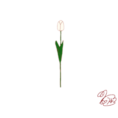 [LINEスタンプ] 1輪のチューリップ