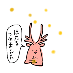 [LINEスタンプ] 夏だぜ★さヤさま、（鹿）