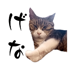 [LINEスタンプ] ネイティブ博多弁。福岡はそげんある。