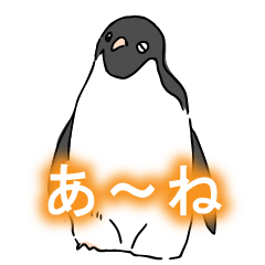 [LINEスタンプ] 福岡（博多弁）雑ゆるなペンギンの画像（メイン）