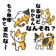 [LINEスタンプ] 【ぬこ】だんごときなこ三重風訛り【猫】