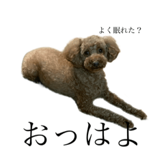 [LINEスタンプ] うちのつむぎさん