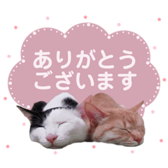 [LINEスタンプ] さくらみみ②