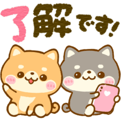 [LINEスタンプ] 豆柴日和♡大人かわいい