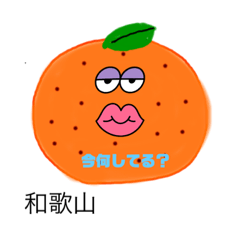 [LINEスタンプ] wakayama Orange