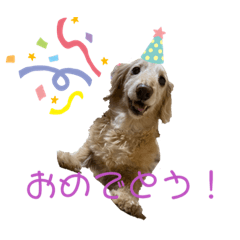 [LINEスタンプ] たんそくモップスタンプ