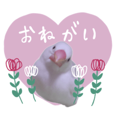 [LINEスタンプ] 白文鳥のぶんちゃん