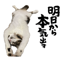 [LINEスタンプ] 遠藤ぽん太くん2