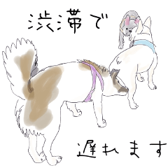 [LINEスタンプ] 雑種犬のまいにち