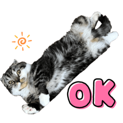 [LINEスタンプ] おにぎりのご挨拶