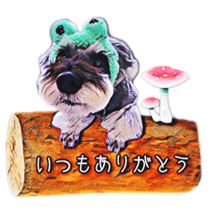 [LINEスタンプ] Jackの日常スタンプNo.7
