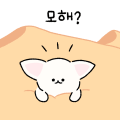 [LINEスタンプ] 砂漠のキツネの赤ちゃんヨリンイ