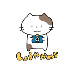 [LINEスタンプ] しょうやかめら